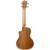 Tanglewood Tiare TWT 22 E Ukulele
