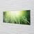 tulup.si Slika na steklu Grass sonce kapljice 140x70 cm 2 obešalnika