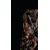 Fototapeta sova - 147x270