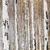 Wallity Slika OPG123741, 140x140 cm