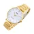 Casio ty530270 pisana