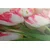 Slika spomladanski tulipani - 40x30