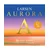 Struna A 1/8 Aurora Larsen medium 639.388