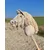 BB Hobby Horse Medium Premium Stick Horse Cream Cremello A4