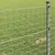 Vidaxl Evropska ograja 0,4 x 10 m PVC prevlečen železo