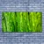 tulup.si Slika na platnu Grass nature rastlin 140x70 cm