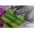 Slika japonski Zen vrt - 120x80