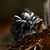 Prstan Gothic Spider - SS8-1137R