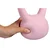 Mehki kettlebell 2 kg paket 1 kos