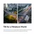 TTArtisan Tilt Shift 17mm F4 GFX