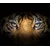 shumee Steklena zaščitna plošča ZA štedilnik 60x52 tiger