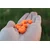 shumee Method/Feeder Fluo Pop-Up Micro Chunks Red Krill