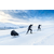 Komplet Thule Chariot Cross Country Skiing Kit