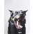 BOSS Majica Dobermann siva/roza/črna/bela