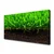 tulup.si Slika na platnu Grass nature rastlin 140x70 cm
