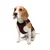 Paws & Whiskers Am za pse Air-Mesh, Braon