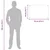 Kuhinjski zid 2 pcs *Transparent*an 70 x 50 cm