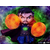 Mini Co Dr Strange Avengers: Endgame mini figura (MARCAS41221-MC)