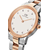 Daniel Wellington ura Iconic Link Lumine ženska