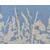 Kuhinjska krpa print Light blue 45x70cm 3268