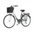 Bicikl Fashion Visitor Bloom 28 Alu 19 V-Brake 6 Brzina 155-178cm (S/M) Zeleno Beli