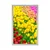Plakat vrt poln tulipanov - 30x45 white