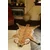 Doing Goods  Volnena preproga  Francis Fawn Rug Large