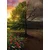 Tapeta dve podobi drevesa - 196x270