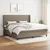 vidaXL Box spring postelja z vzmetnico taupe 200x200 cm blago, (20761276)