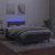 Vidaxl Box spring postelja z vzmetnico LED temno siva 120x200 cm žamet