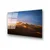 Wallity slika UV-322, 50 x 70 cm