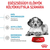 ROYAL CANIN Hrana za pse Medium Puppy 10kg