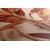 Slika listi Peach Fuzz - 80x120