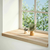 Prozorske klupice 2 kom 90x40x2 cm netretirane masivne hrast