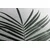 Slika čudoviti palmov list - 30x20
