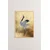 Uokvirena slika Wallity Artsrmdl15, 33x48 cm