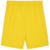 Kratke hlače Puma teamGOAL Short