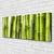 tulup.si Slika na platnu Bamboo rastlin narava 120x60 cm