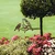 Atelier Del Sofa Dekorativna figura Bird On The Branch 02, 40x20 cm, 1.5 mm