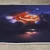 Conceptum Hypnose Tepih Woopamuk051 100 x 300cm, Ljubičasti