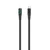 Havit CB6255 USB-C/Lightning polnilni kabel, 1m, črn
