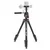 Joby stativ Compact Advanced Kit (z nosilcem za telefon)