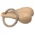 Big Ballers Nuts Keychain Skin
