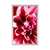 Plakat cvet vrtnice - 20x30 silver
