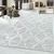 eoshop Preproga Pisa 4703 siva (Varianta: premer kroga 160 cm)