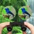 K&F Concept 30X60 Small Pocket Binoculars Compact Adults,Mini Kids Binoculars Boys for Bird Watching