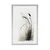 Plakat minimalistična posušena trava - 60x90 no frame