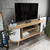 Hanah home TV Komoda Stor Smeđe-Bela