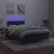 Vidaxl Box spring postelja z vzmetnico LED tem. zelena 120x200cm žamet