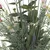 Dekorativni Buket Rustic Eucalyptus
